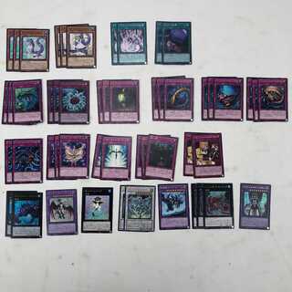 遊戯王 ラドリー バージェストマ デッキ ドラゴンメイド(243)