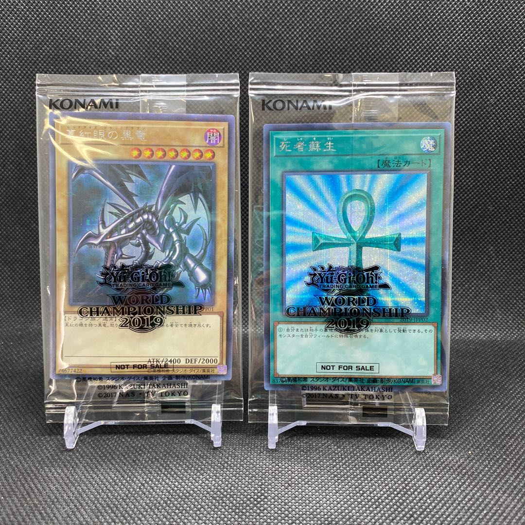 WCS2019 管理番号D