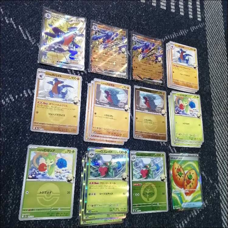 ポケモンカード　デッキ　シロナのガブリアスex　SR　[05386] 1枚