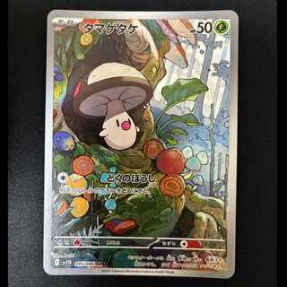 # Foongus AR 095/086 1枚