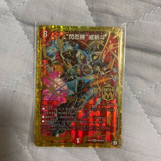 “閃忍勝”威斬斗