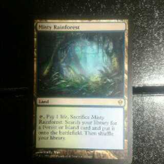 霧深い雨林　英