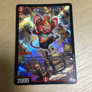 ダチッコ・チュリス R-foil