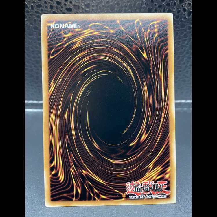 Yu-Gi-Oh! UP01 Red-Eyes Darkness Metal Dragon Relief EU English Version 1枚