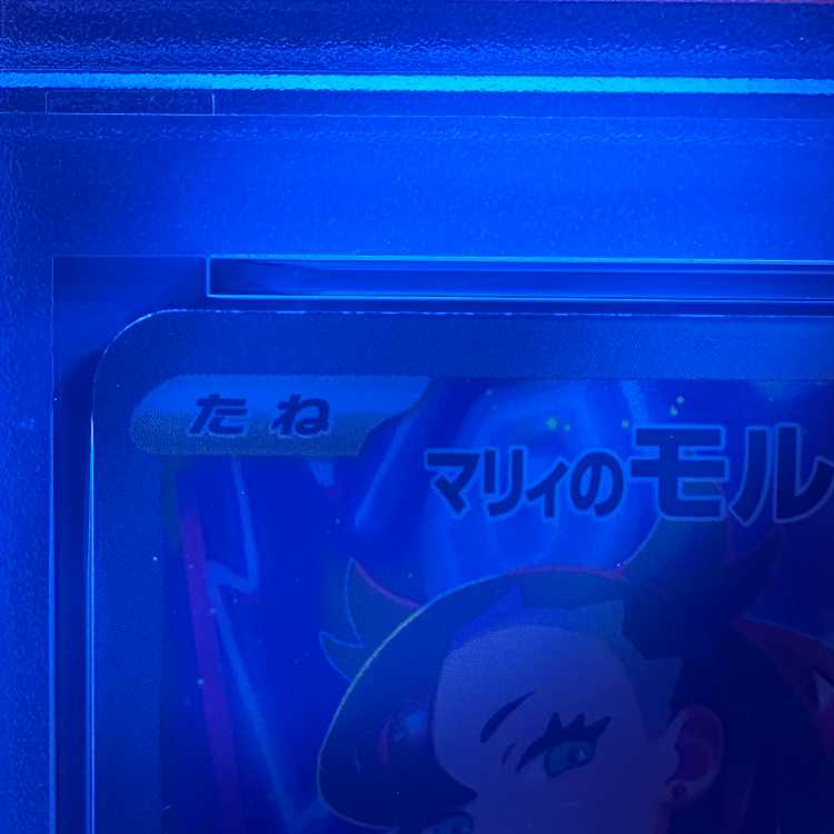 PSA10 Marnie's Morpeko 020/019 SVOM Pokémon Card Game (Pokéka) 1枚