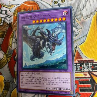 始祖竜ワイアーム N