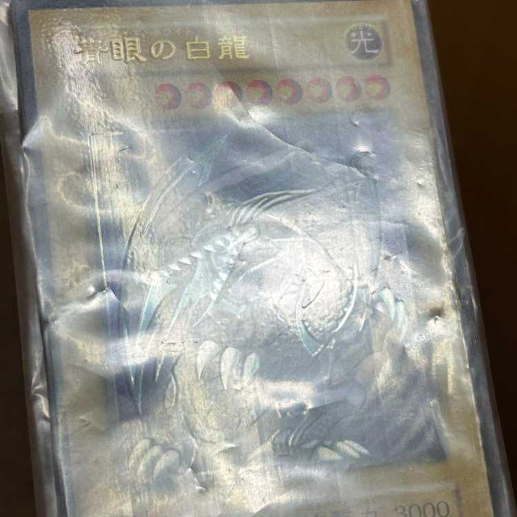 Yu-Gi-Oh! Blue-Eyes White Dragon Snubbull - Stainless Steel, Unopened 1枚