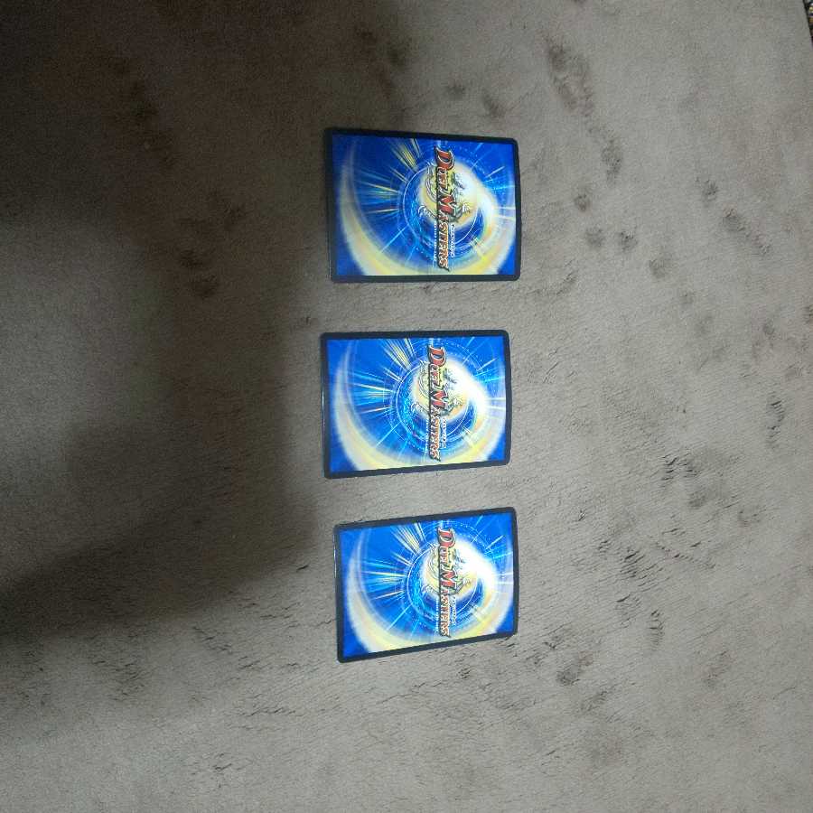 アステラ様専用