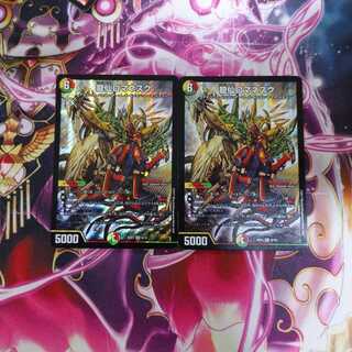 龍仙ロマネスク 2枚セット