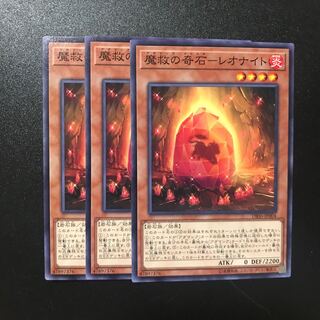 魔救の奇石-レオナイト N