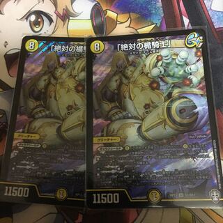 「絶対の楯騎士」 SR タッキー様専用