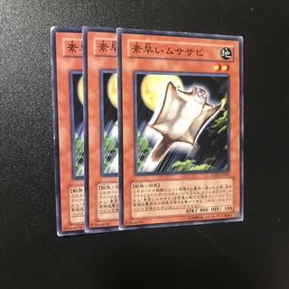 素早いムササビ N