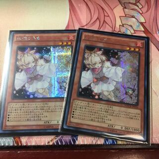 灰流うらら アジアシークレット2枚セット