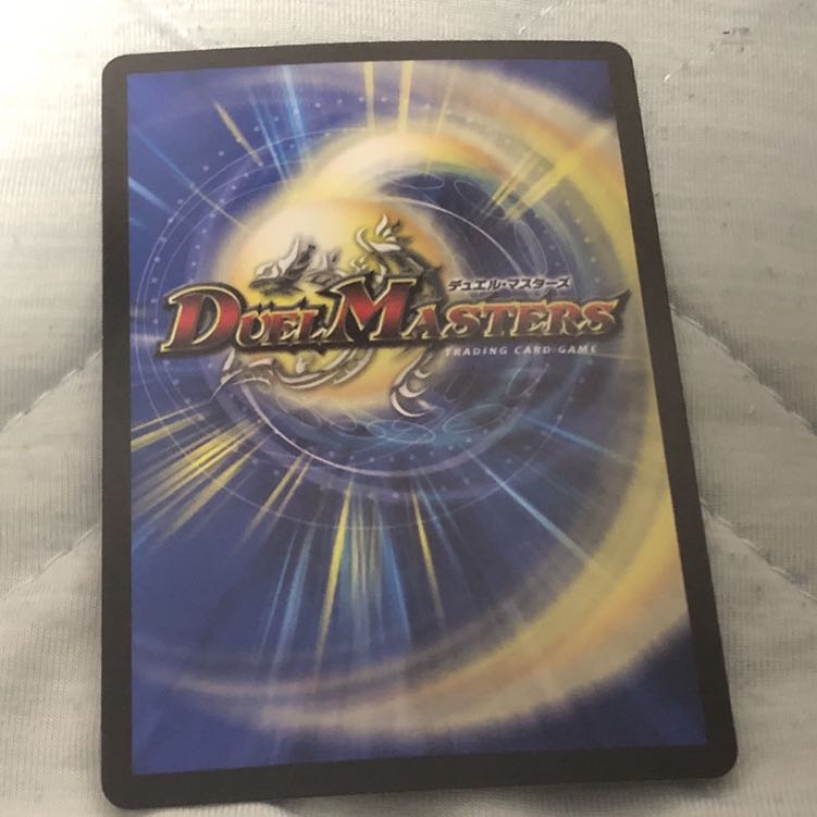 偽りの王 ヴィルヘルム 1枚