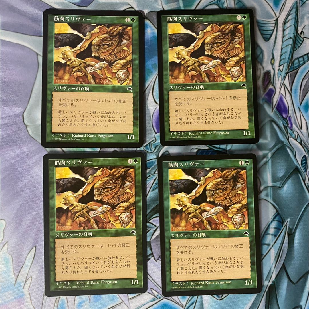 筋肉スリヴァー 4枚セット