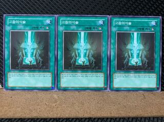 【ぽぽたん】遊戯王 4556 高等儀式術 3枚 ノーマル 韓国