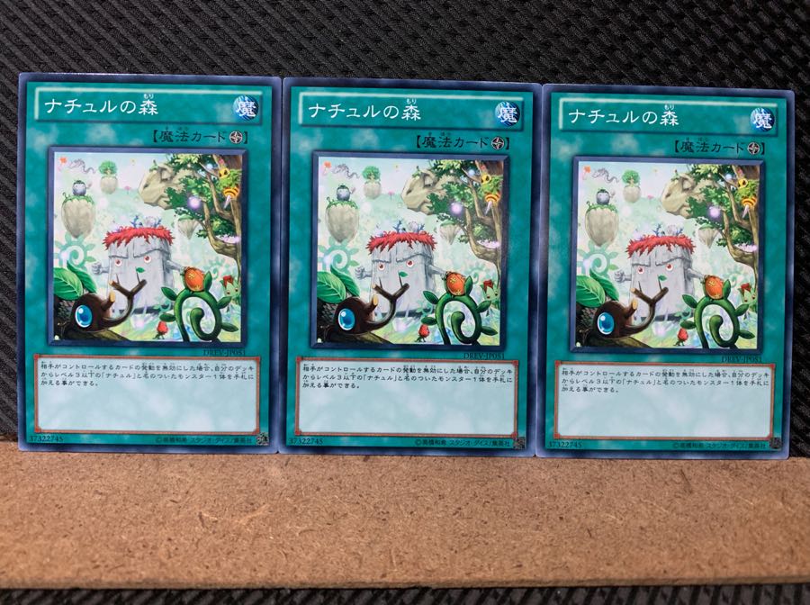 【ぽぽたん】遊戯王 4677 ナチュルの森 3枚 ノーマル