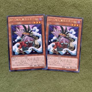 BF-隠れ蓑のスチーム R 2枚