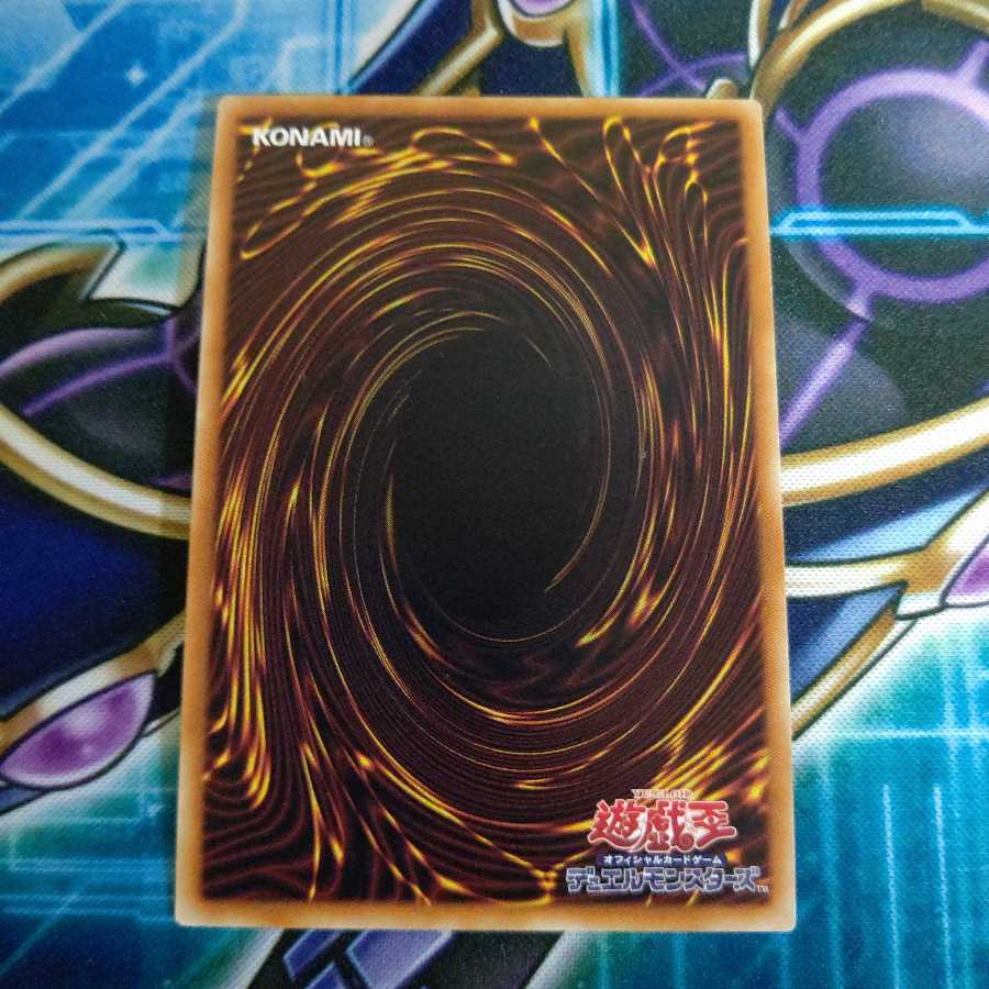 ハーピィの羽根帚 UR