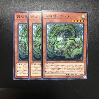 天威龍-ナハタ N