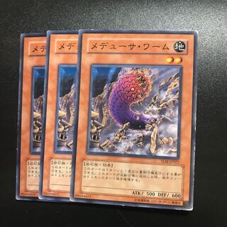 メデューサ・ワーム N