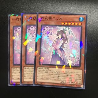 六花精エリカ N