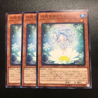 六花のひとひら N