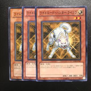 Light Road Hunter Raikou N