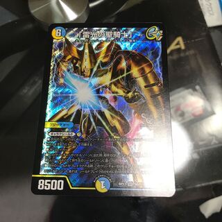 「雷光の聖騎士」