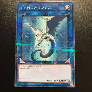 LANフォリンクス P-N