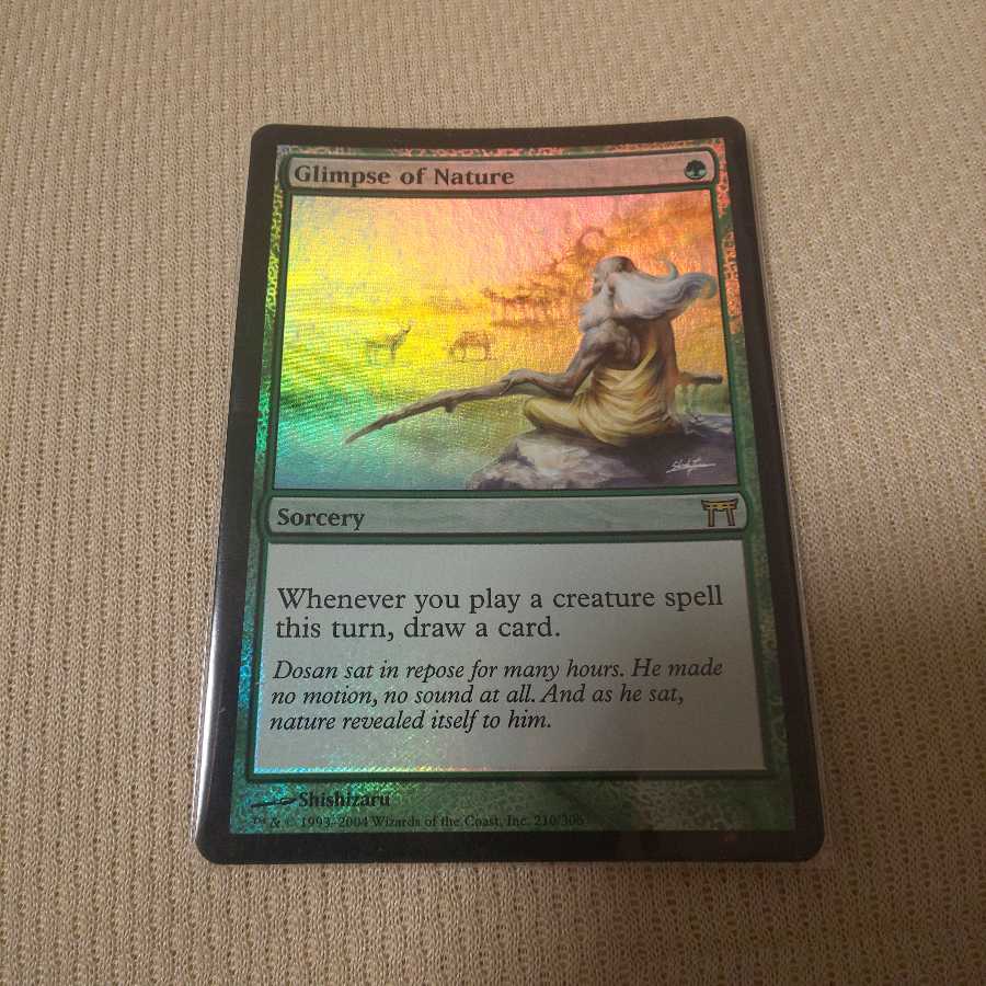 垣間見る自然【FOIL版】