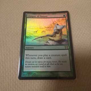 垣間見る自然【FOIL版】