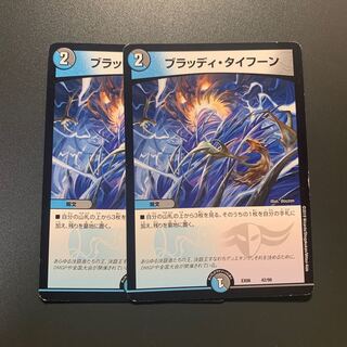 ブラッディ・タイフーン 2枚