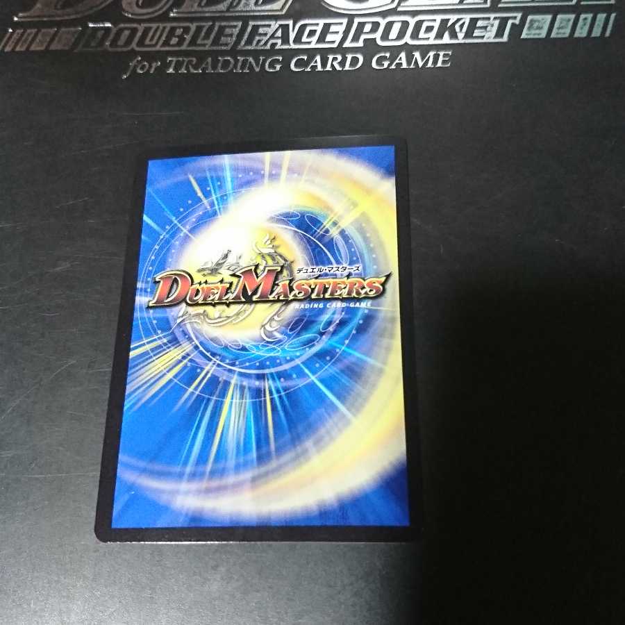 雷龍 ヴァリヴァリウス