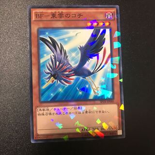 BF-東雲のコチ P-N