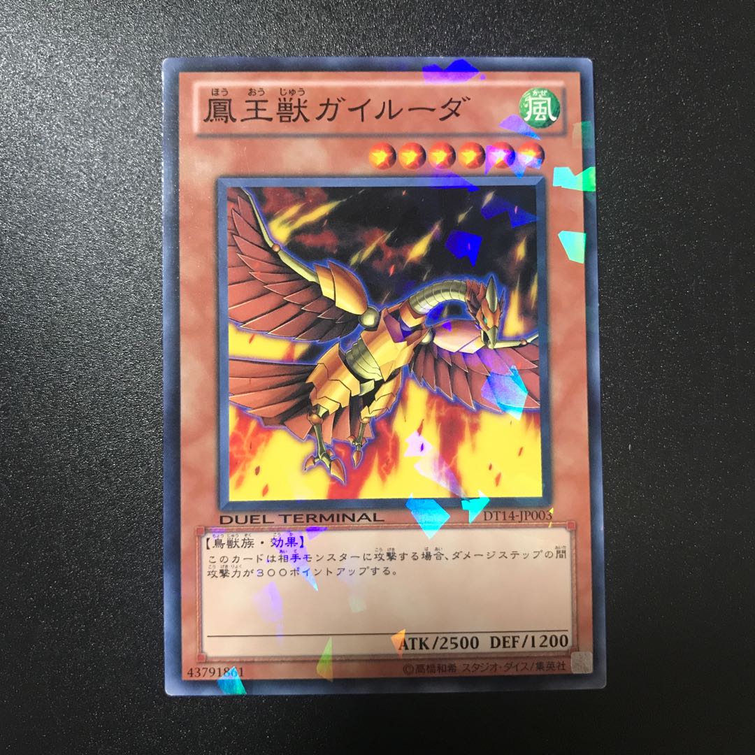 鳳王獣ガイルーダ N