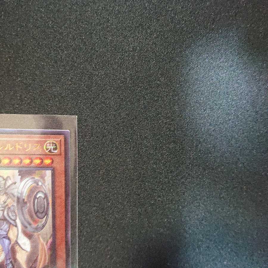 教導の騎士フルルドリス UL