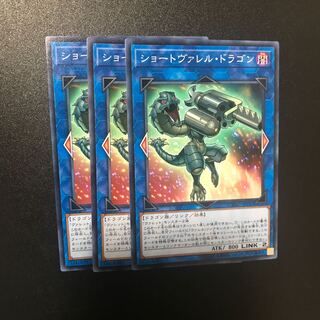 ショートヴァレル・ドラゴン N