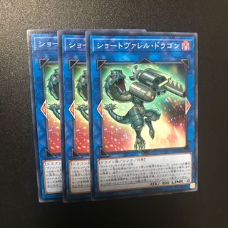 ショートヴァレル・ドラゴン N