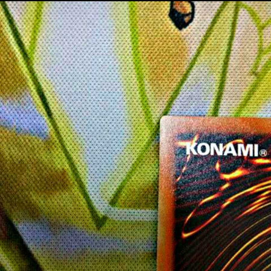 【美品】青眼の白龍 20thSE 限定スリーブ付き