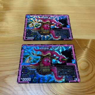 水中怪物 テンタコル　2枚セット