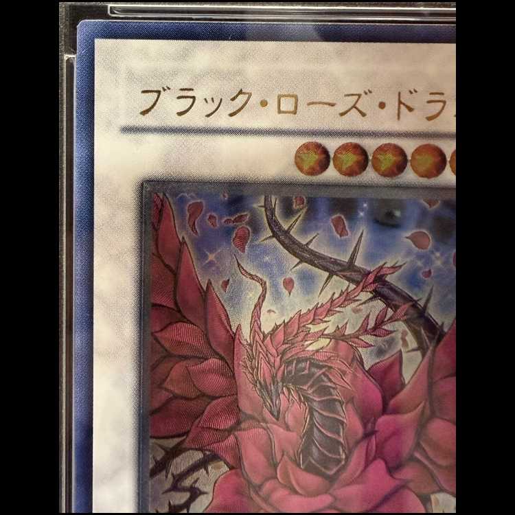 [PSA10] Black Rose Dragon [Relief] CSOC-JP039 1枚