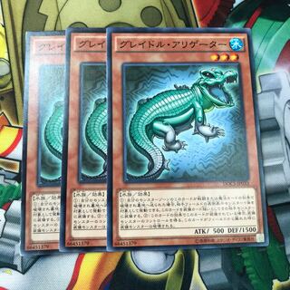 グレイドルアリゲーター　3枚