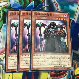 熟練の赤魔術士　3枚