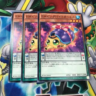 EMビッグバイトタートル　3枚