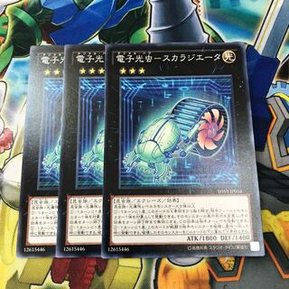 電子光虫スカラジエータ　3枚
