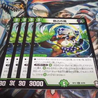 樹占の風 U　フォーチュンウィンド