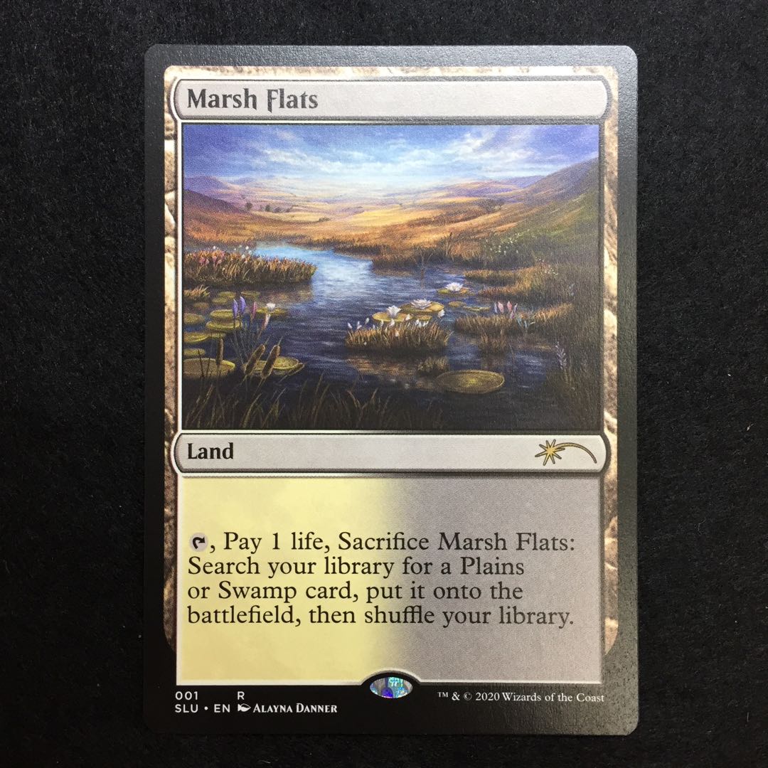 湿地の干潟 Secret Lair