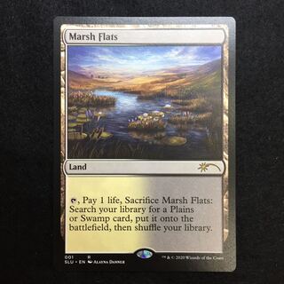 湿地の干潟 Secret Lair