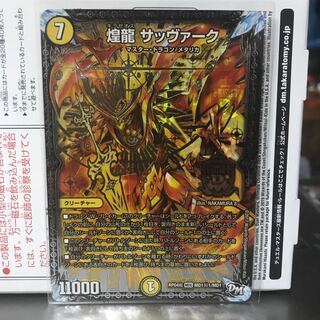 煌龍サッヴァーク秘1